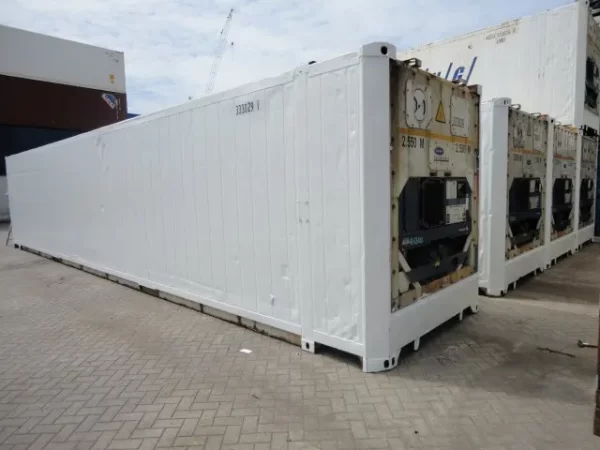 Refrigerated Shipping Container Converted into a Cold Room - Image 5